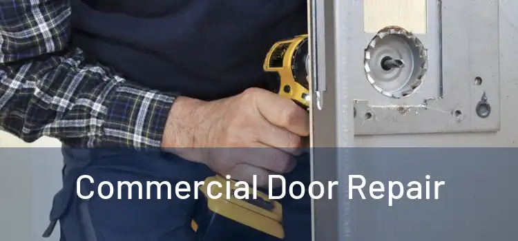 Commercial Door Repair